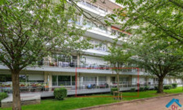 Avenue Jean Sibélius
